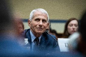 Dr. Anthony Fauci testifies to House committee on coronavirus