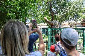 Odesa zoo