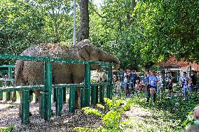 Odesa zoo
