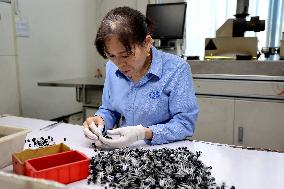 A Semiconductor Manufacturing Enterprise in Binzhou