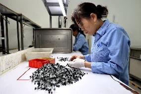 A Semiconductor Manufacturing Enterprise in Binzhou