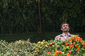 Mahmoud Ahmadinejad Former President of Iran