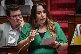 Questions to the government at the National Assembly in Paris FA