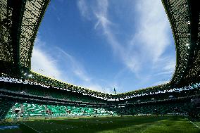 Portugal V Finland - International Friendly