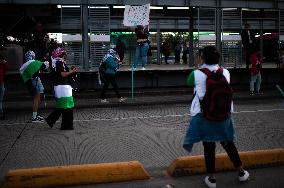 Pro-Palestine Demonstrations in Bogota