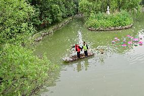 World Environment Day