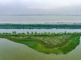 CHINA-HANGZHOU-TIDAL FLAT WETLAND (CN)