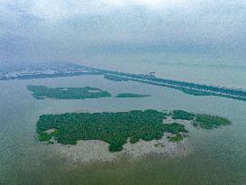 CHINA-HANGZHOU-TIDAL FLAT WETLAND (CN)