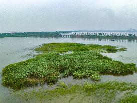 CHINA-HANGZHOU-TIDAL FLAT WETLAND (CN)