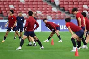 Singapore V South Korea - FIFA World Cup Asian 2nd Qualifier Press Conference And Training