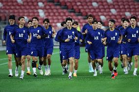 Singapore V South Korea - FIFA World Cup Asian 2nd Qualifier Press Conference And Training