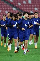 Singapore V South Korea - FIFA World Cup Asian 2nd Qualifier Press Conference And Training