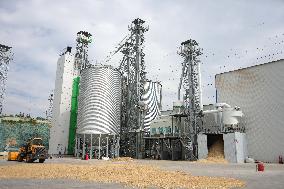 CHINA-SHANDONG-WEIFANG-GRAIN-DRYING (CN)