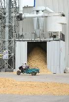 CHINA-SHANDONG-WEIFANG-GRAIN-DRYING (CN)