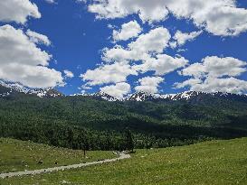 CHINA-XINJIANG-ALTAY-HABAHE-TOURISM (CN)