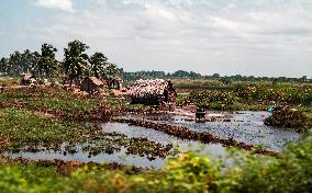 BEININ-OUIDAH-VIEWS