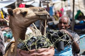 ETHIOPIA-BATI-MARKET