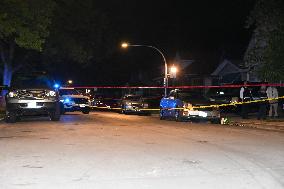 39-year-old Male Shot Multiple Times And Killed In Alley In Chicago Illinois