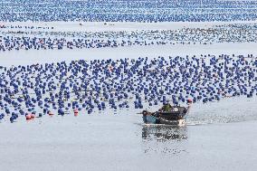 Marine Farming in Fuzhou