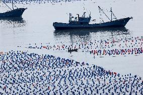 Marine Farming in Fuzhou