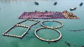 Marine Farming in Fuzhou