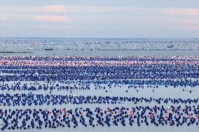 Marine Farming in Fuzhou