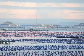 Marine Farming in Fuzhou