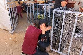 Funeral in Nuseirat Refugee Camp - Gaza