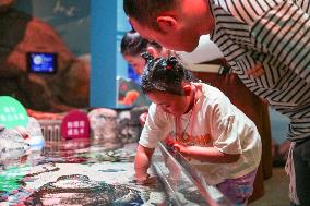 CHINA-SHENYANG-WORLD OCEANS DAY (CN)