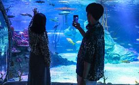 Shenyang Aquariums - China