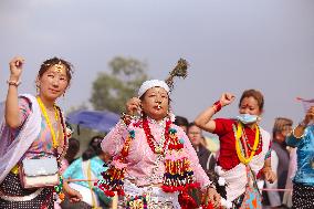 Sakela Ubhauli Dance In Nepal