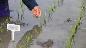 Baima Lake Farm in Huai 'an