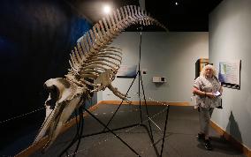 CANADA-VANCOUVER-WORLD OCEANS DAY-MARITIME MUSEUM