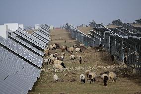 Xinhua Headlines: Solar power farms on plateau fuel China's green energy revolution