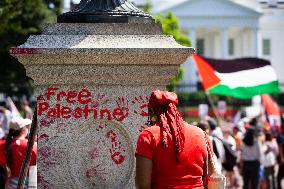 Pro-Palestine Protest Outside Of White House - Washington
