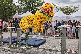 Chinese High Pole Lion Dance In Markham