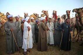 Burgash Camel Market