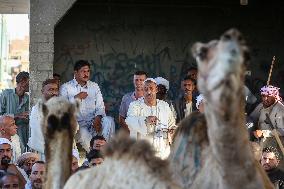 Burgash Camel Market