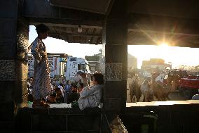 Burgash Camel Market