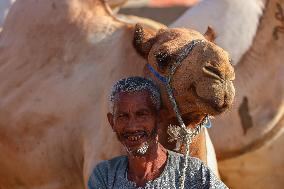 Burgash Camel Market