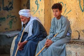 Burgash Camel Market