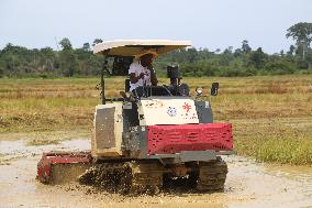 COTE D'IVOIRE-DIVO PROVINCE-CHINA-COOPERATION-RICE HARVEST