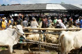 INDONESIA-SEMARANG-LIVESTOCK MARKET-EID AL ADHA