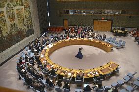 UNSC meeting on Gaza cease-fire plan