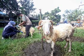 INDONESIA-BOGOR-LIVESTOCK