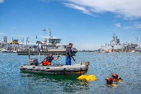 Military Divers Remove Waste From The Port - Toulon