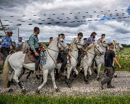 Traditional Abrivado - Aigremont