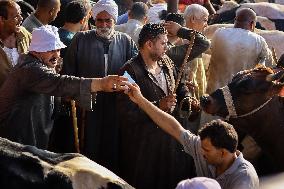 Al-Zagazig Livestock Market