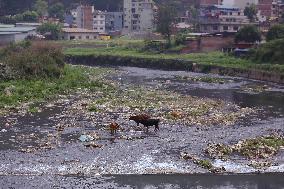 Water Pollution In Nepal