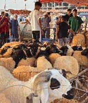 LIBYA-TRIPOLI-EID AL-ADHA-PREPARATION